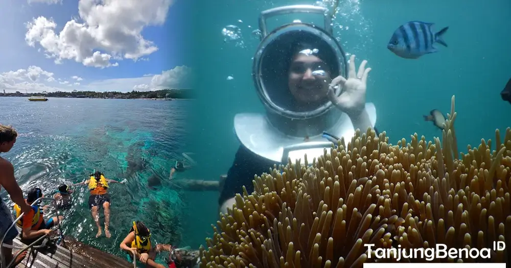 Snorkeling dan Seawalker Tanjung Benoa